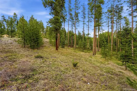 930 Gcr 511golf Course Cir, Tabernash, CO 80478 photo 4