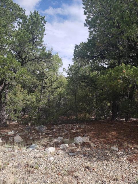 119 Eagles Nest Dr, Mosca, CO 81146 photo 6