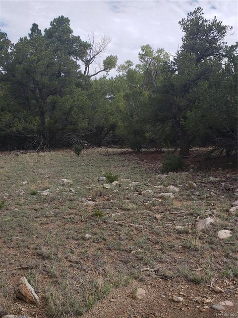 119 Eagles Nest Dr, Mosca, CO 81146 photo 4