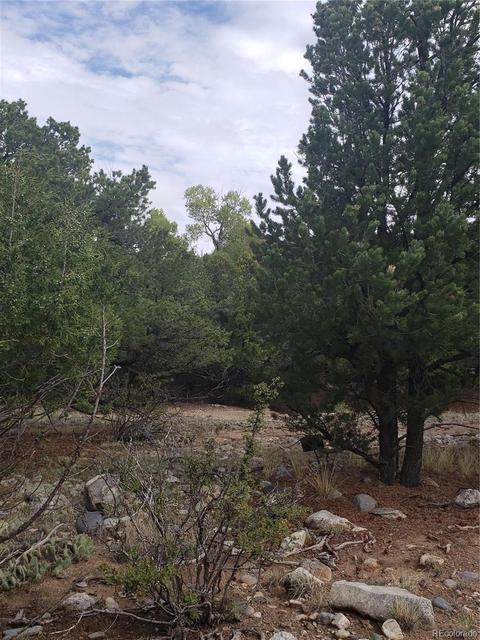 119 Eagles Nest Dr, Mosca, CO 81146 photo 2