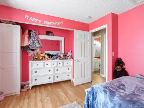 20762 E 44th Ave, Denver, CO 80249 photo 22