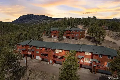 303 Virginia Rd #E, Bailey, CO 80421 photo 1