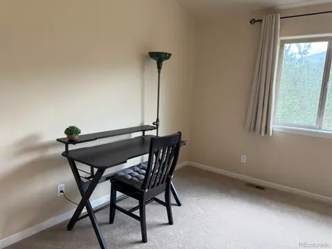 303 Virginia Rd #E, Bailey, CO 80421 photo 18