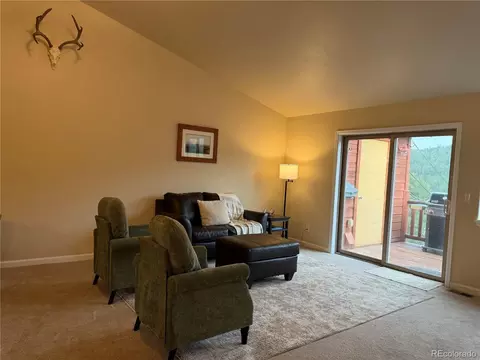 303 Virginia Rd #E, Bailey, CO 80421 photo 13