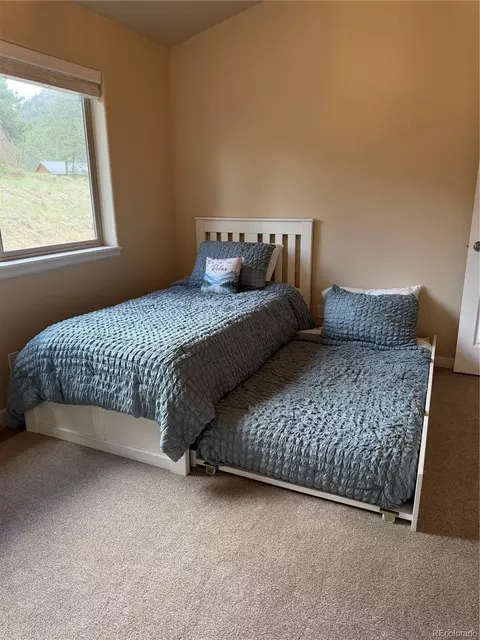 303 Virginia Rd #E, Bailey, CO 80421 photo 24
