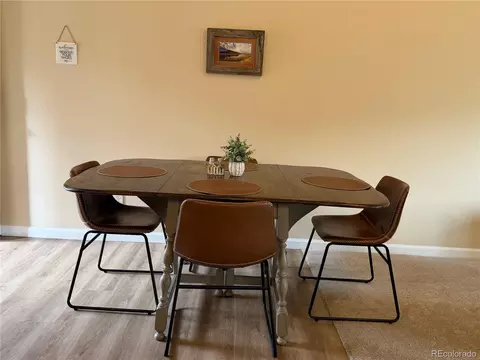 303 Virginia Rd #E, Bailey, CO 80421 photo 9