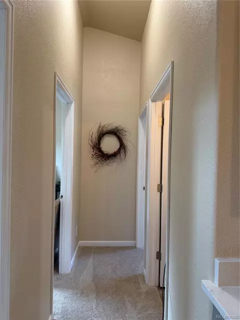 303 Virginia Rd #E, Bailey, CO 80421 photo 15