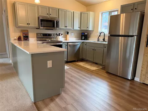 303 Virginia Rd #E, Bailey, CO 80421 photo 5