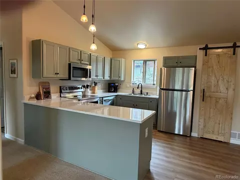 303 Virginia Rd #E, Bailey, CO 80421 photo 4