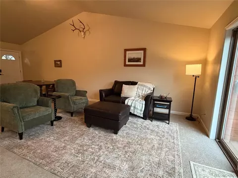 303 Virginia Rd #E, Bailey, CO 80421 photo 14