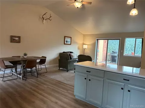 303 Virginia Rd #E, Bailey, CO 80421 photo 8