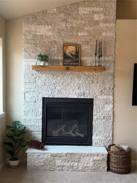 303 Virginia Rd #E, Bailey, CO 80421 photo 11