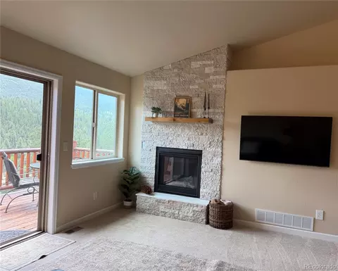 303 Virginia Rd #E, Bailey, CO 80421 photo 10