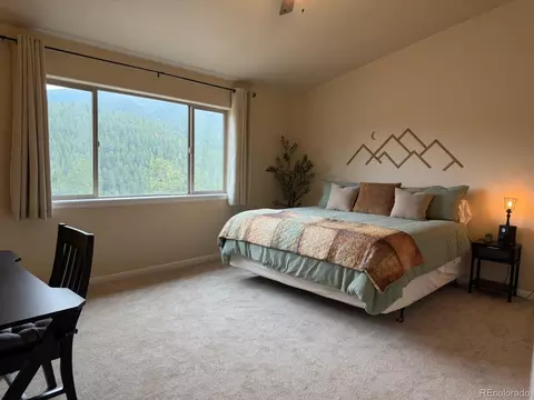 303 Virginia Rd #E, Bailey, CO 80421 photo 16