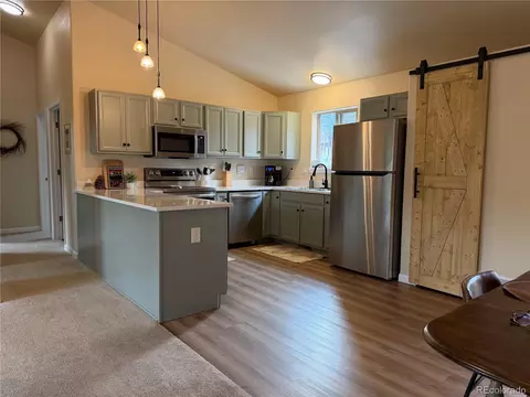 303 Virginia Rd #E, Bailey, CO 80421 photo 3