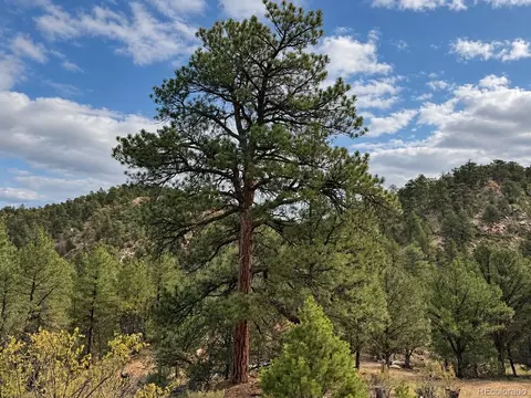 000 K Path, Cotopaxi, CO 81223 photo 23