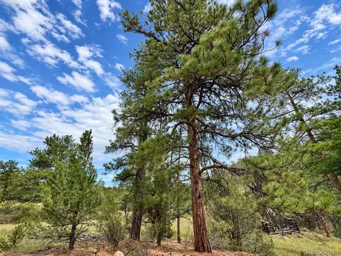 000 K Path, Cotopaxi, CO 81223 photo 25
