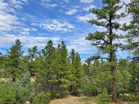 000 K Path, Cotopaxi, CO 81223 photo 28