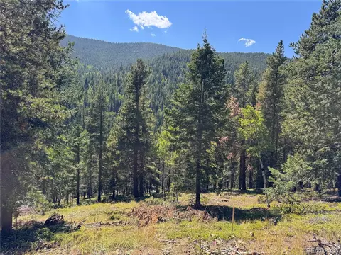 0 Blue Bell Ln, Idaho Springs, CO 80452