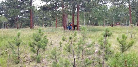 35 Columbine Rd, Bailey, CO 80421 photo 1