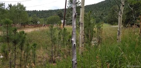 35 Columbine Rd, Bailey, CO 80421 photo 2