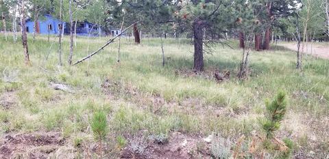 35 Columbine Rd, Bailey, CO 80421 photo 3