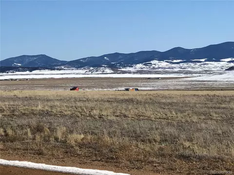 3209 Rio Blanco Rd, Hartsel, CO 80449
