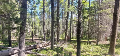 lot2914 Forbes Loop, Fort Garland, CO 81133