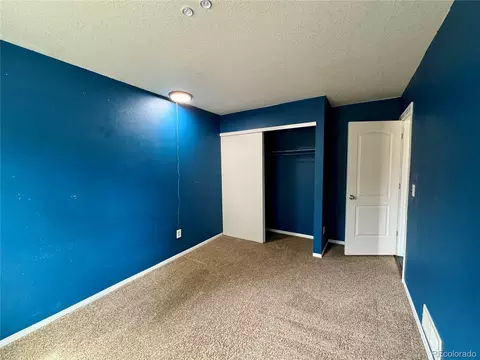 18912 E 44th Pl, Denver, CO 80249 photo 21