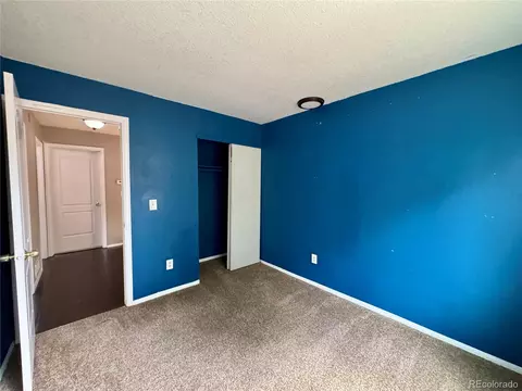 18912 E 44th Pl, Denver, CO 80249 photo 23