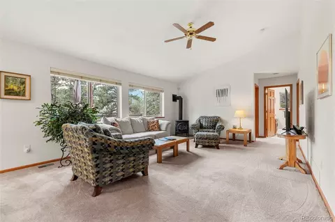 84 Marys Ln, Bailey, CO 80421 photo 14