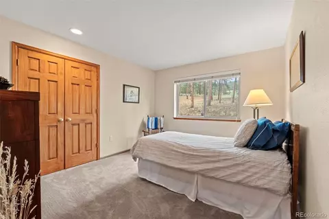 84 Marys Ln, Bailey, CO 80421 photo 18