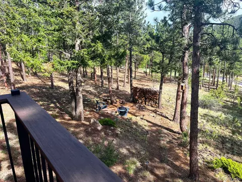 84 Marys Ln, Bailey, CO 80421 photo 27
