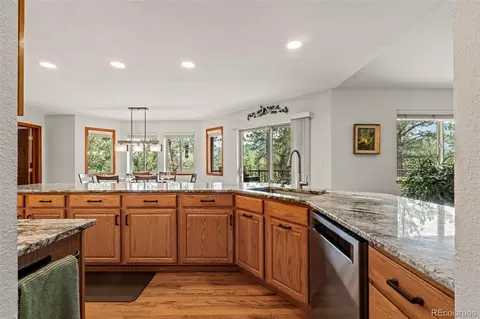 84 Marys Ln, Bailey, CO 80421 photo 12