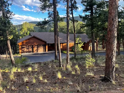 84 Marys Ln, Bailey, CO 80421 photo 3