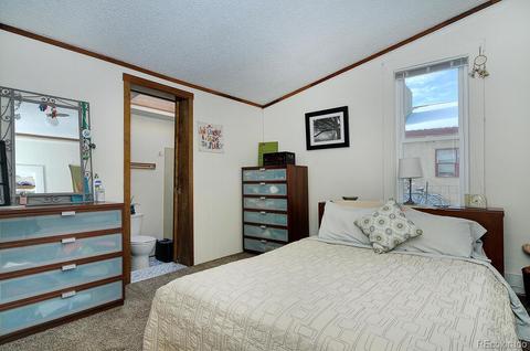 1031 E St, Salida, CO 81201 photo 15