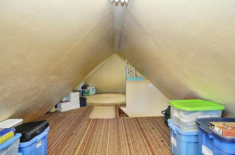 1031 E St, Salida, CO 81201 photo 22