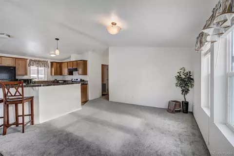 144 Pikes Peak Pl, Dillon, CO 80435 photo 8