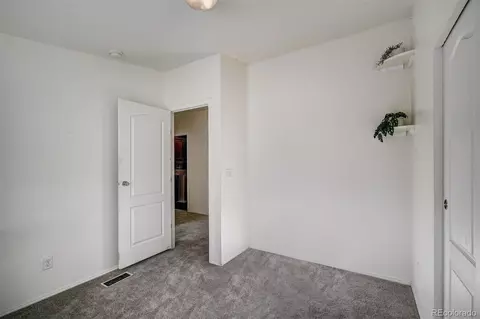 144 Pikes Peak Pl, Dillon, CO 80435 photo 21