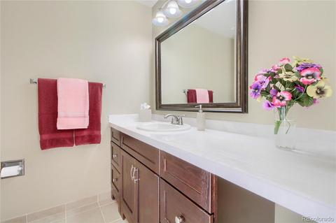 21527 E Crestline Ln, Centennial, CO 80015 photo 17