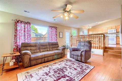 21527 E Crestline Ln, Centennial, CO 80015 photo 12