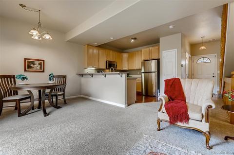 305 Virginia Rd #G, Bailey, CO 80421 photo 4