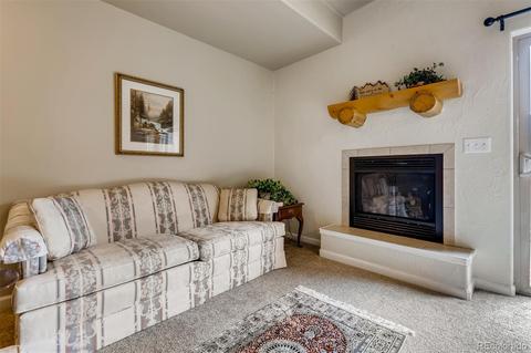 305 Virginia Rd #G, Bailey, CO 80421 photo 3