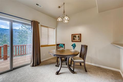 305 Virginia Rd #G, Bailey, CO 80421 photo 5