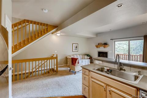 305 Virginia Rd #G, Bailey, CO 80421 photo 7