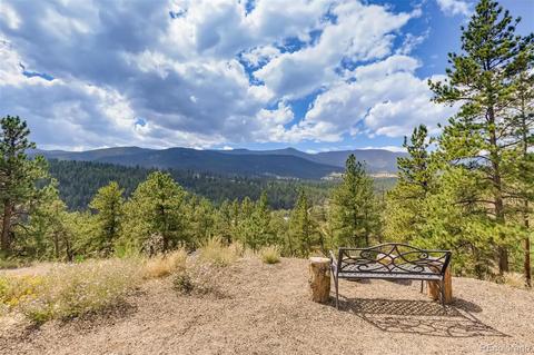305 Virginia Rd #G, Bailey, CO 80421 photo 15