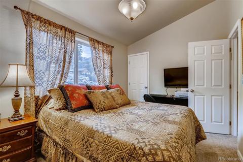 305 Virginia Rd #G, Bailey, CO 80421 photo 10