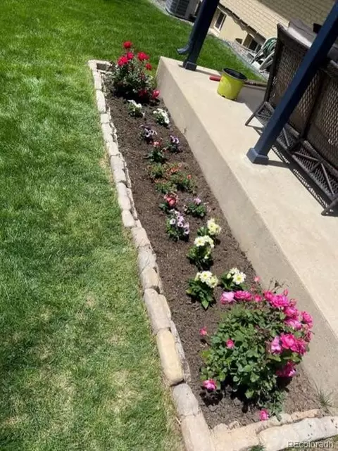 Exterior - 8038 E Lehigh Dr, Denver, CO 80237 photo 5 of 9