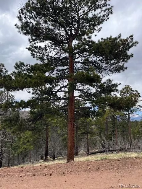 lot513 Leslie Loop, Fort Garland, CO 81133