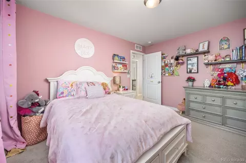 24533 E Walsh Ave, Aurora, CO 80018 photo 25